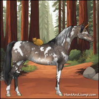 Horse Color:White Spotted Brown Dun Rabicano
