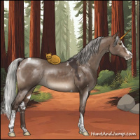 Horse Color:White Spotted Silver Brown Dun Splash Tobiano Rabicano