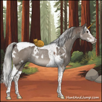 Horse Color:White Spotted Silver Grullo Splash Tobiano Rabicano
