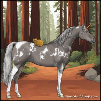 Horse Color:Platinum White Spotted Silver Grullo Tobiano 