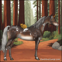 Horse Color:White Spotted Silver Brown
