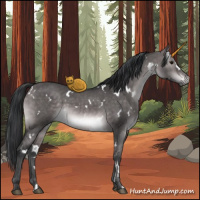 Horse Color:Platinum White Spotted Brown Dun 