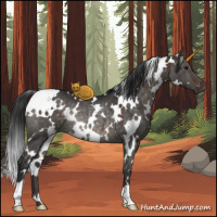 Horse Color:White Spotted Brown Dun Rabicano Brindle 
