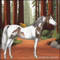 Horse Color:White Spotted Silver Brown Dun Splash Tobiano Brindle 