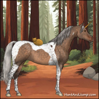 Horse Color:Silver Brown Dun Tobiano 