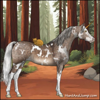 Horse Color:White Spotted Silver Brown Dun Splash