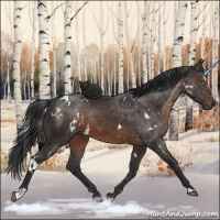 Horse Color:White Spotted Brown Sabino