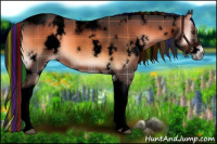 Horse Color:Void Painted Plaid White Spotted Liver Red Onyx Tobiano