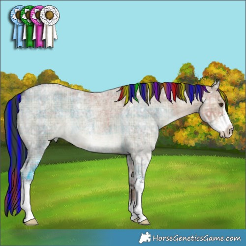 Horse Color:Painted Plaid  Liver Red Dun Ice Roan Sabino 