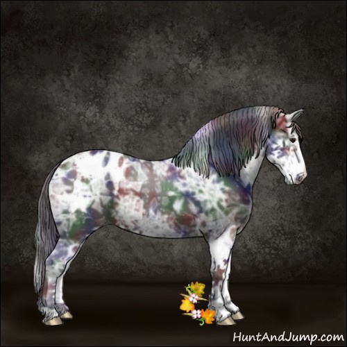 Horse Color:Nacre Smoky Black Ice Sabino Appaloosa 