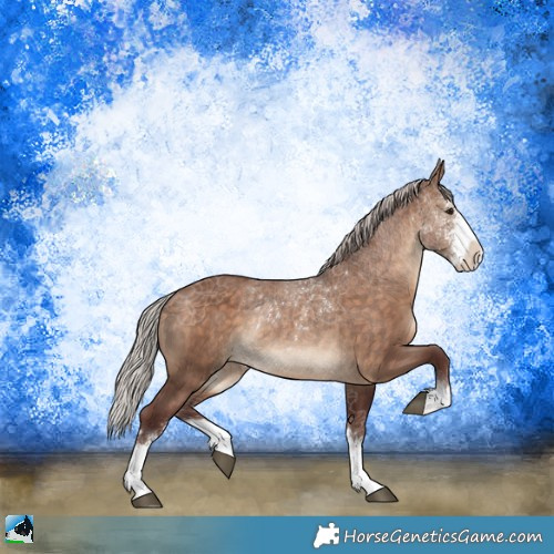 Horse Color:Chocolate Silver Brown Dun Sabino Rabicano