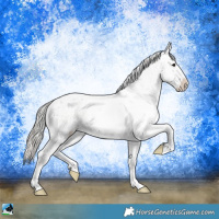 Horse Color:Chocolate Silver Smoky Blue Onyx Ice Sabino 