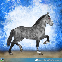 Horse Color:Buckskin Chinchilla Ice Dun 