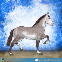 Horse Color:Chocolate Buckskin Chinchilla Dun Sabino Rabicano