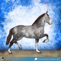 Horse Color:Chocolate Brown Chinchilla Ice Dun Sabino Rabicano 