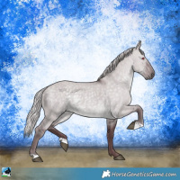 Horse Color:Chocolate Silver Grullo Chinchilla Rabicano
