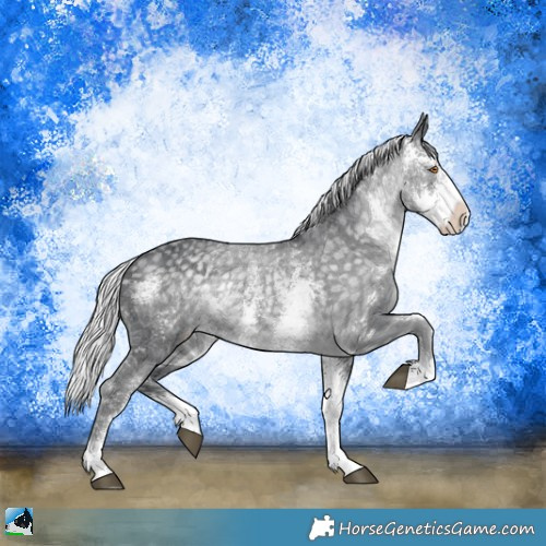 Horse Color:Silver Black Chinchilla Sabino Appaloosa Rabicano