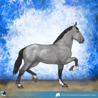 Horse Color:Smoky Grullo Chinchilla 