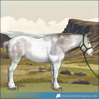 Horse Color:Liver Red Dun Mushroom Sabino Tobiano 