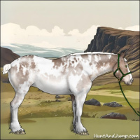 Horse Color:White Spotted Liver Red Dun Mushroom Rabicano