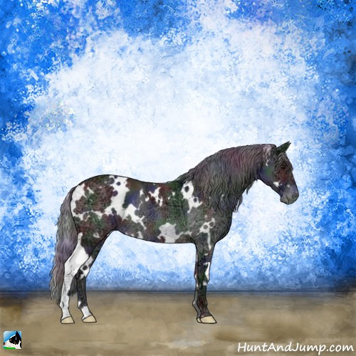 Horse Color:Nacre White Spotted Black Ice Mushroom Rabicano 