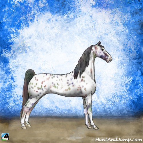 Horse Color:Nacre Smoky Blue Onyx Ice Sabino Appaloosa Rabicano 