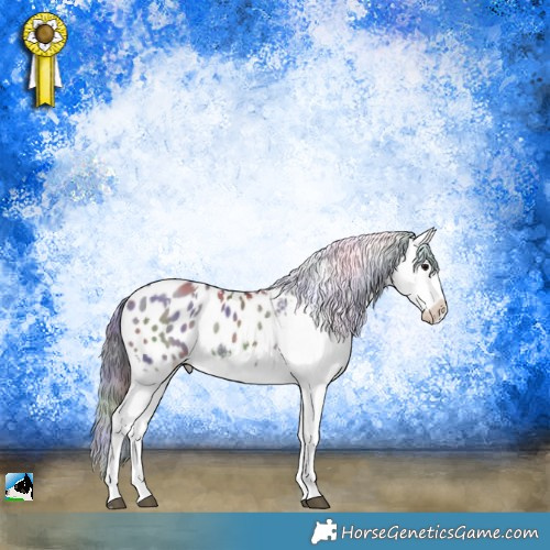 Horse Color:Nacre White Spotted Grullo Sabino Appaloosa Rabicano 