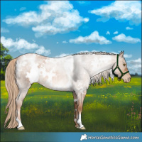 Horse Color:White Spotted Liver Red Roan Pearl 