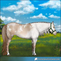 Horse Color:White Spotted Liver Red Dun Pearl 
