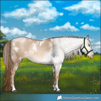 Horse Color:White Spotted Liver Red Dun Pearl 
