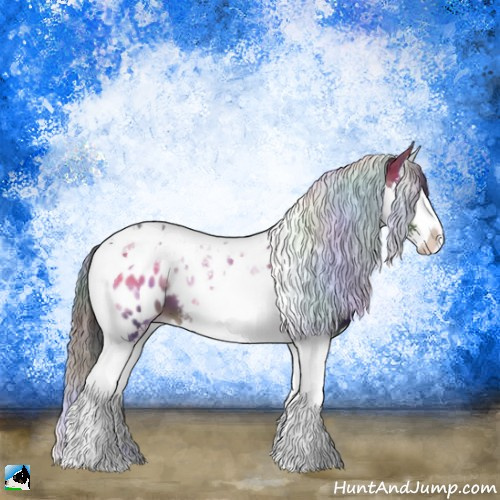 Horse Color:Nacre Bay Onyx Splash Tobiano Appaloosa 