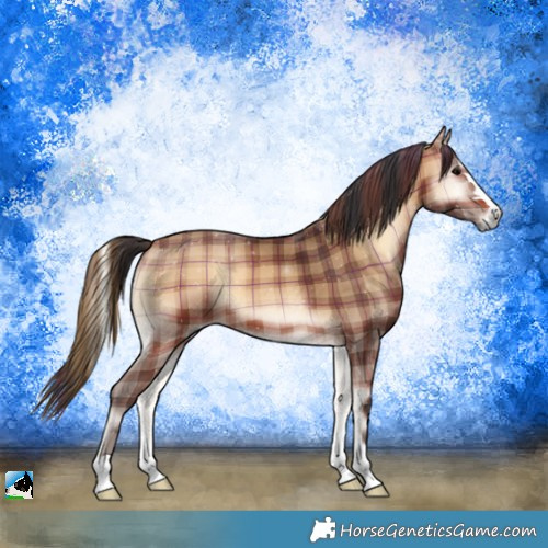 Horse Color:Plaid  Bay Onyx 