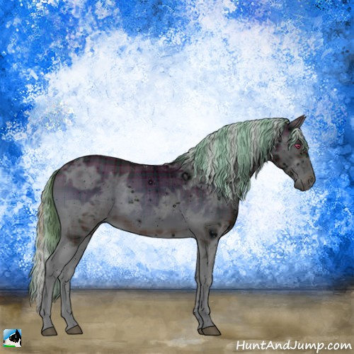 Horse Color:ERROR: UNKNOWN ANOMALY