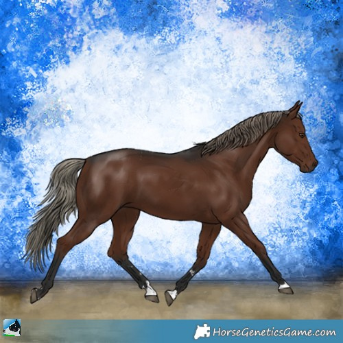 Horse Color:Liver Chestnut Mushroom