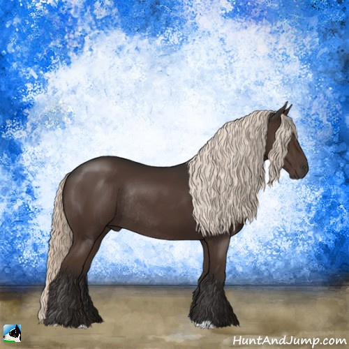 Horse Color:Liver Chestnut Mushroom Rabicano 