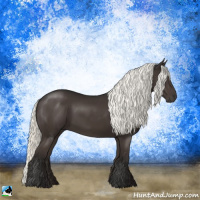 Horse Color:Liver Chestnut Mushroom Rabicano 