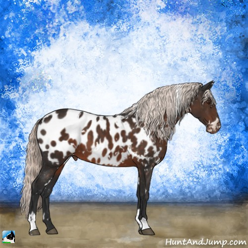 Horse Color:White Spotted Liver Chestnut Mushroom Appaloosa 