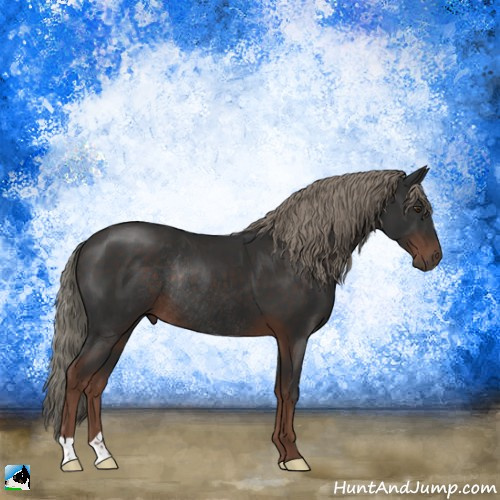 Horse Color:Liver Chestnut Mushroom Rabicano 