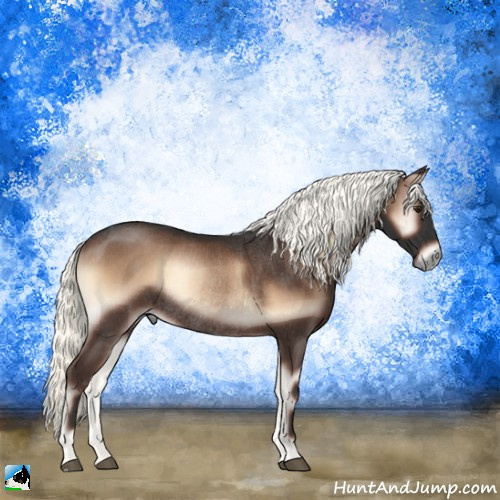 Horse Color:Liver Red Onyx Mushroom Rabicano 