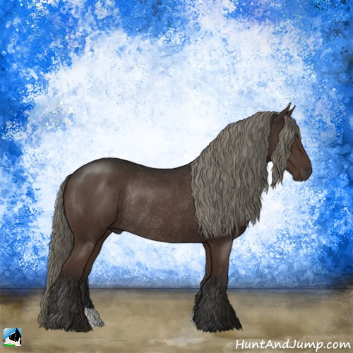Horse Color:Liver Chestnut Mushroom Rabicano 