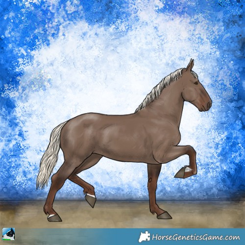 Horse Color:Liver Red Dun Mushroom