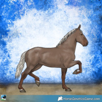 Horse Color:Liver Red Dun Mushroom 