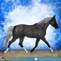 Horse Color:Midnight Liver Red Roan Mushroom 