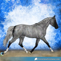 Horse Color:Midnight Liver Red Roan Mushroom 