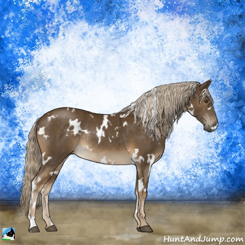 Horse Color:White Spotted Chocolate Palomino Mushroom Rabicano 
