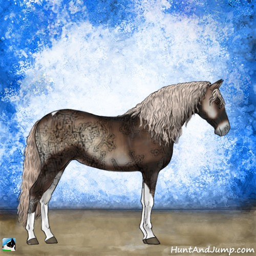 Horse Color:Liver Red Onyx Ice Mushroom Tobiano Rabicano 