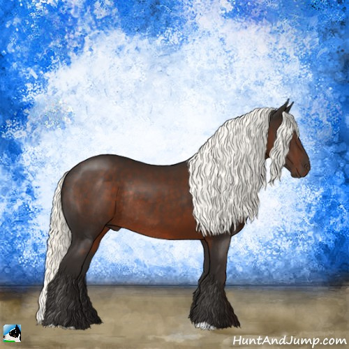 Horse Color:Liver Chestnut Mushroom Rabicano 