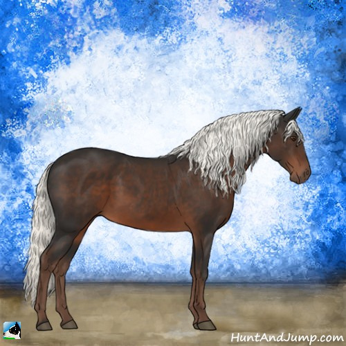 Horse Color:Liver Chestnut Mushroom 