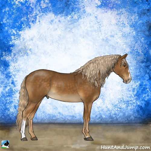 Horse Color:Chocolate Palomino Mushroom Sabino 