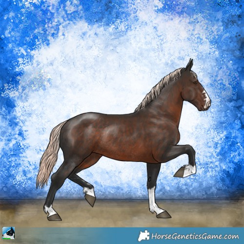 Horse Color:Liver Chestnut Mushroom Rabicano